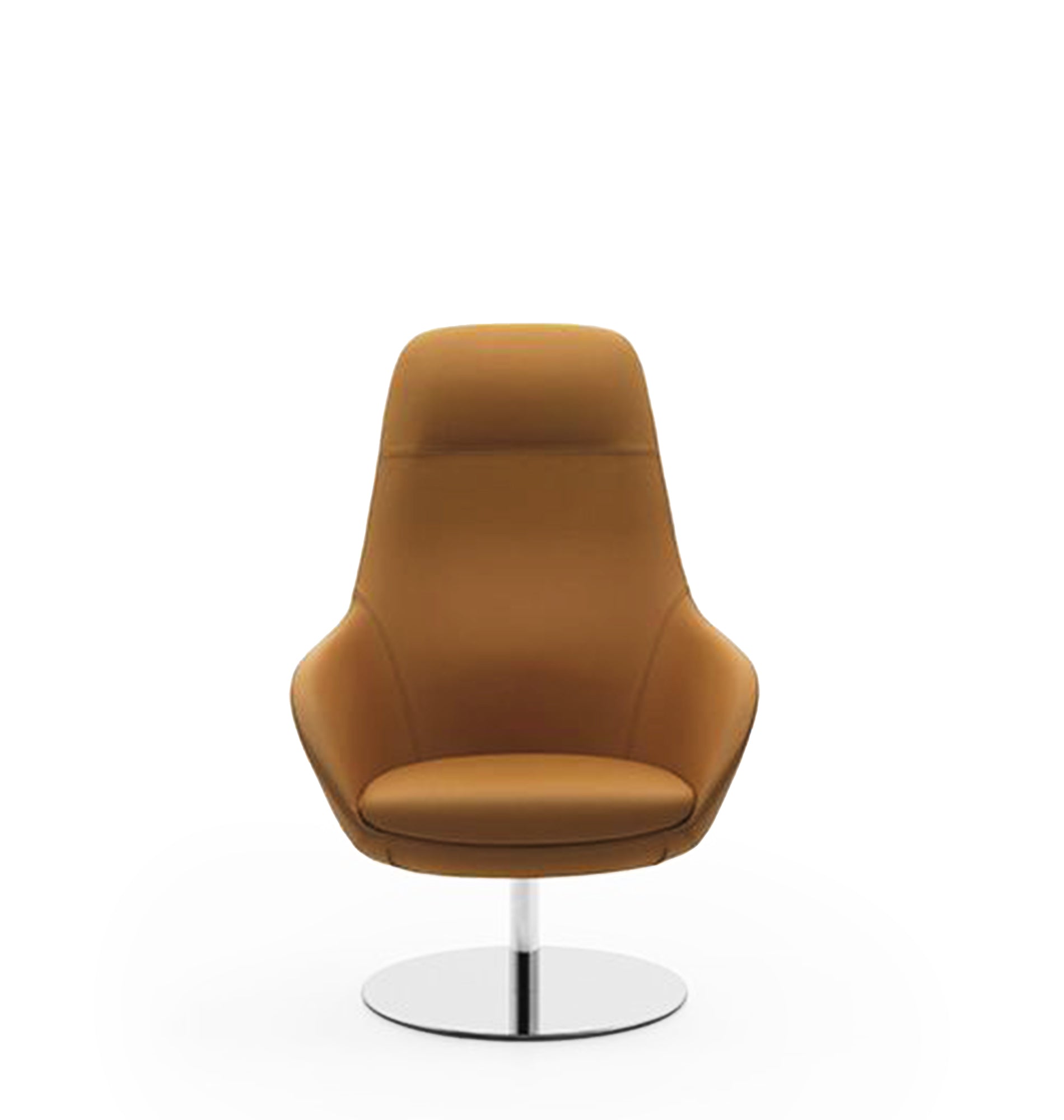 Ariel