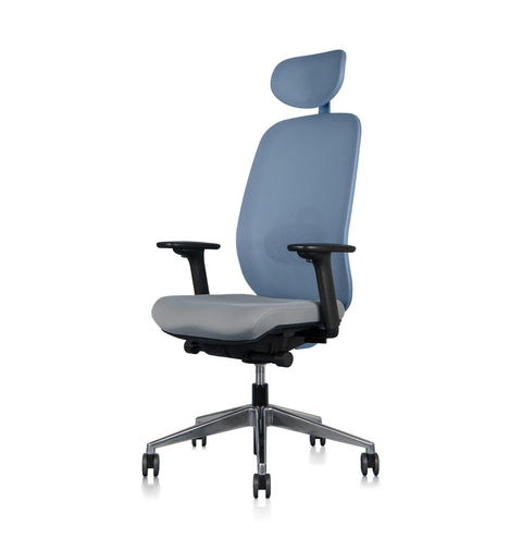 ErgoFlex